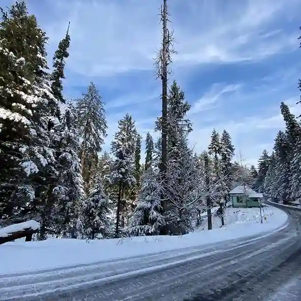 Kashmir Beauty